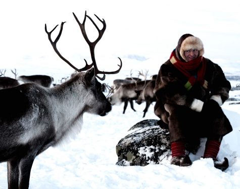 Visit Sami reindeer herder