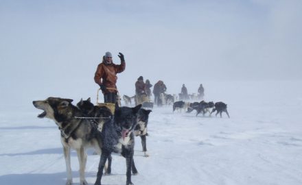 Day trip with the sled dogs